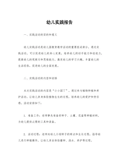幼儿实践报告
