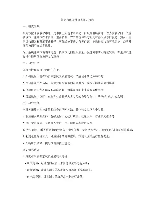 巢湖市可行性研究报告流程