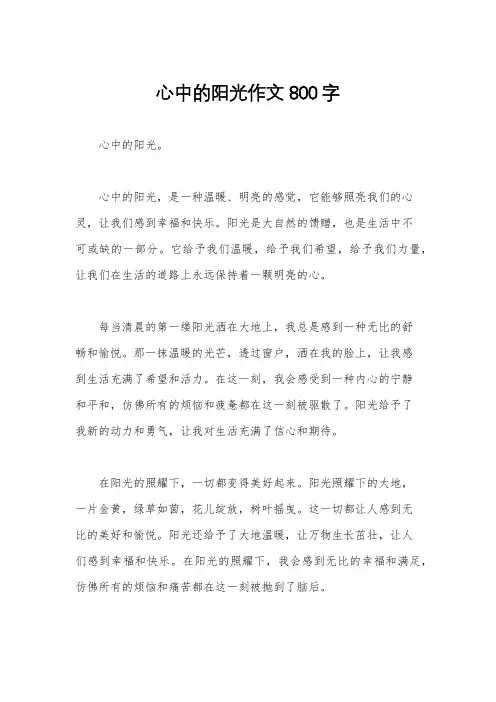 心中的阳光作文800字