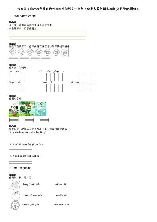 云南省文山壮族苗族自治州2024小学语文一年级上学期人教版期末检测(评估卷)巩固练习