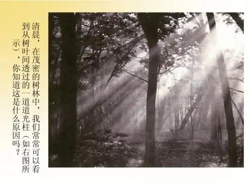 胶体性质