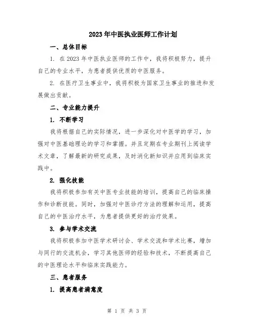 2023年中医执业医师工作计划