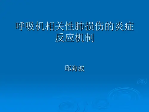 呼吸机相关性肺损伤的炎症反应机制