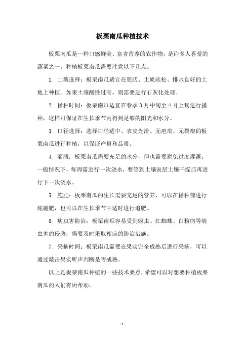 板栗南瓜种植技术