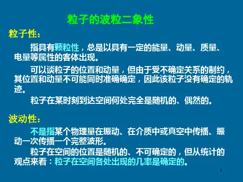 粒子波粒二象性