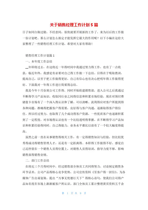 关于销售经理工作计划5篇