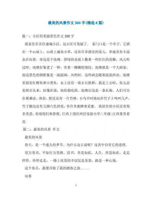 最美的风景作文300字(精选6篇)