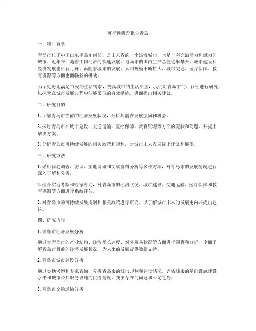 可行性研究报告青岛