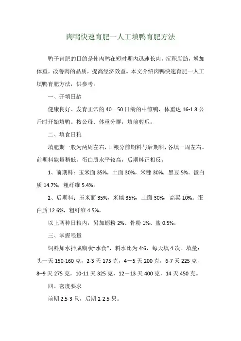 肉鸭快速育肥一人工填鸭育肥方法