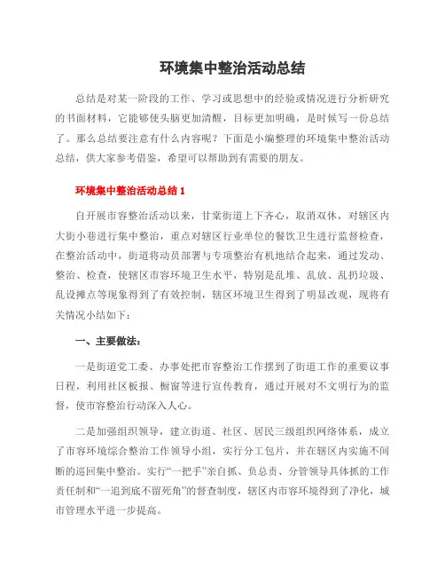 环境集中整治活动总结