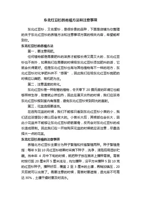 东北红豆杉的养殖方法和注意事项