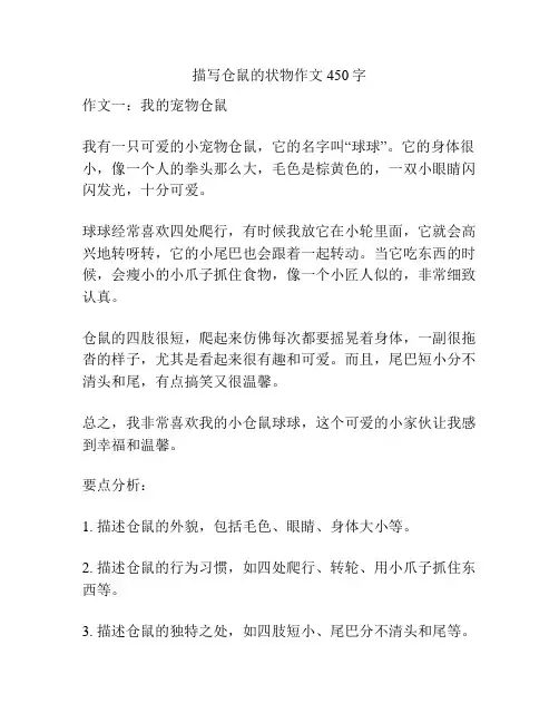 描写仓鼠的状物作文450字