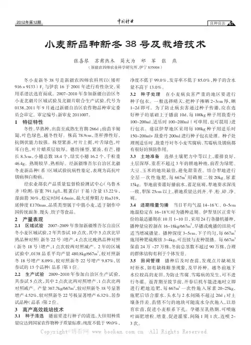小麦新品种新冬38号及栽培技术