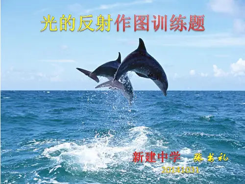 光的反射作图(复杂作图)
