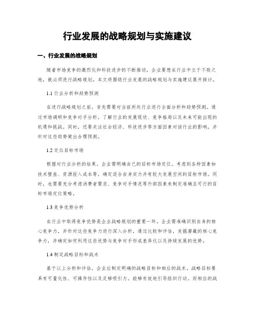 行业发展的战略规划与实施建议