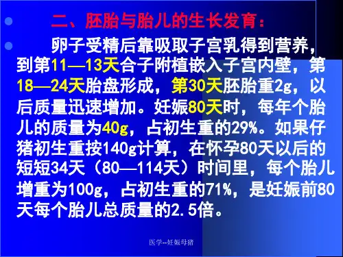 医学-妊娠母猪课件