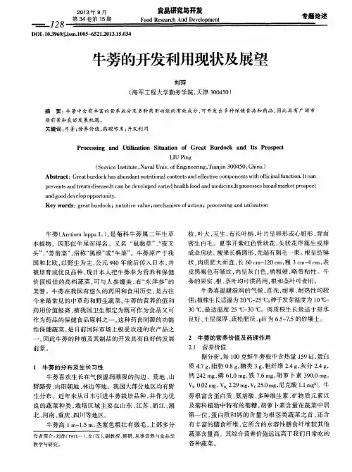 牛蒡的开发利用现状及展望