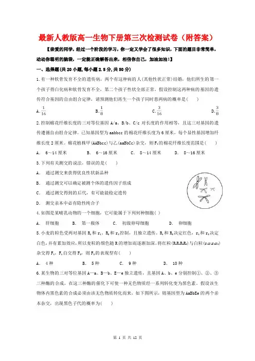 最新人教版高一生物下册第三次检测试卷(附答案)