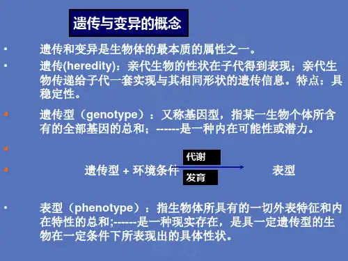 微生物遗传学基础演示教学