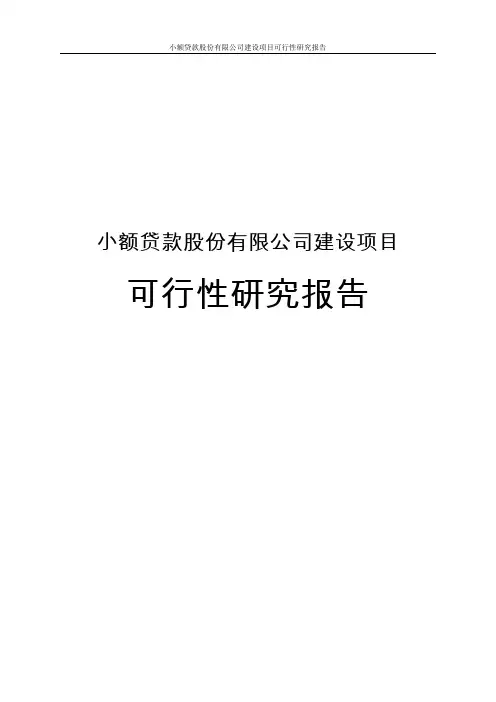 小额贷款股份有限公司建设项目可行性研究报告