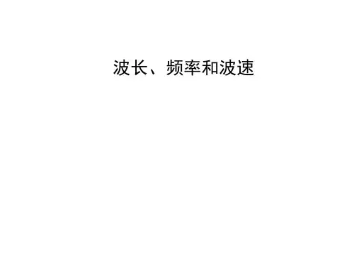 波长 频率和波速   课件