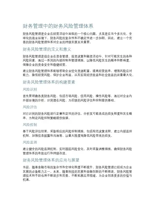 财务管理中的财务风险管理体系