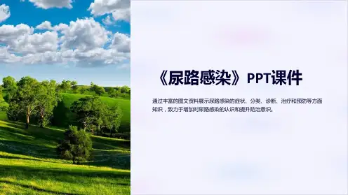 《尿路感染》课件