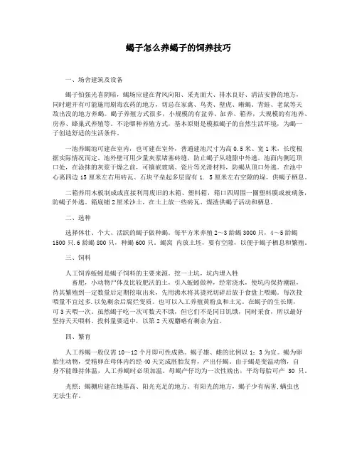 蝎子怎么养蝎子的饲养技巧