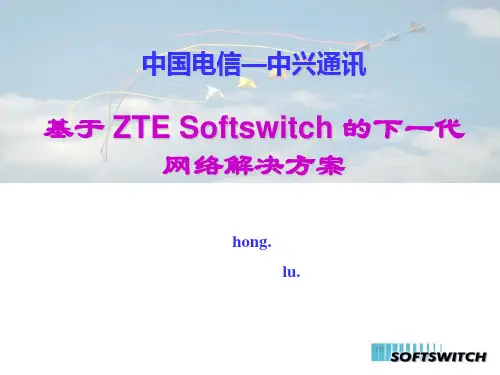 中兴培训资料总new