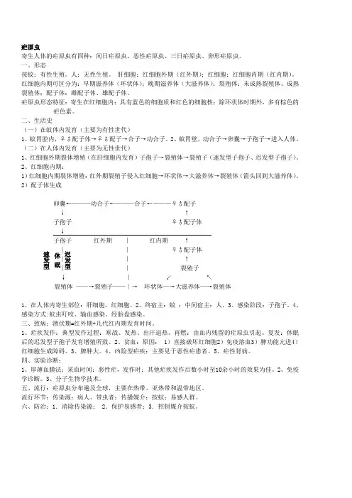 疟原虫