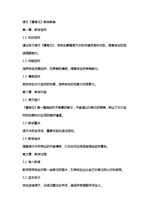 课文《看菊花》教学教案