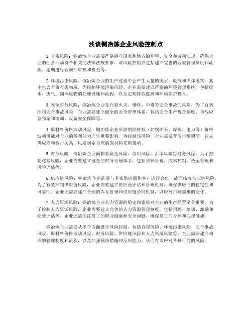 浅谈铜冶炼企业风险控制点
