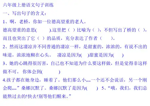 六年级上册语文句子复习题集