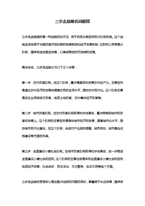 三步走战略名词解释
