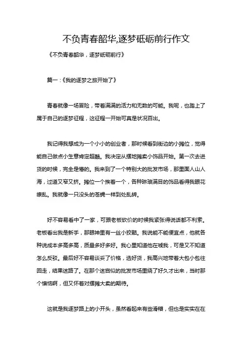 不负青春韶华,逐梦砥砺前行作文
