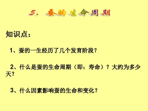 5、蚕的生命周期