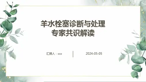 羊水栓塞诊断与处理专家共识解读PPT课件