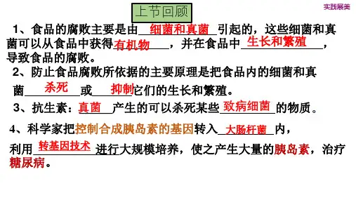 第五章病毒课件人教版生物八年级上册