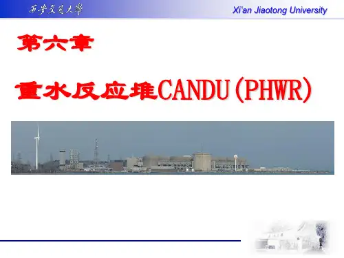 07 第六章 重水反应堆CANDU(PHWR)