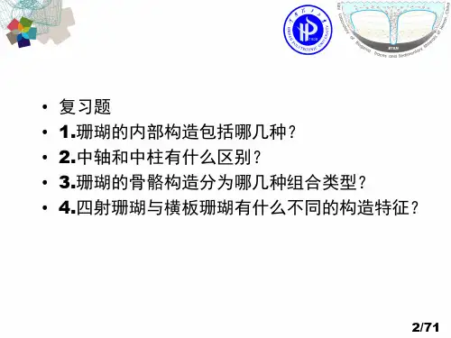07-软体动物门-腹足+双壳+头足