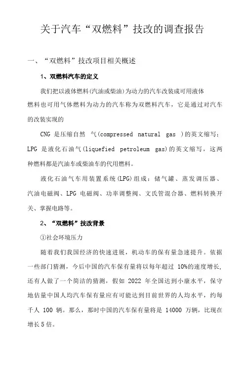 双燃料技改调查报告