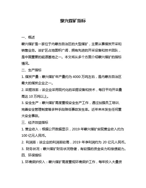 蒙兴煤矿指标