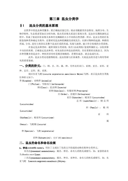 昆虫分类学