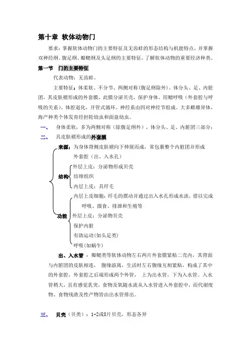 第十章 软体动物门