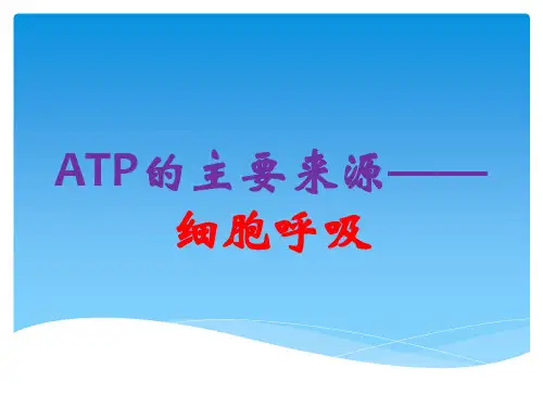 【公开课课件】必修一第3节 ATP的主要来源——细胞呼吸