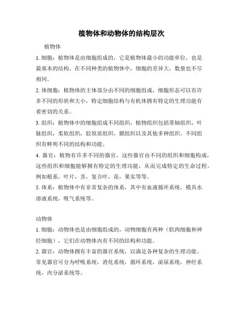 植物体和动物体的结构层次
