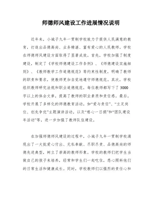 师德师风建设工作进展情况说明