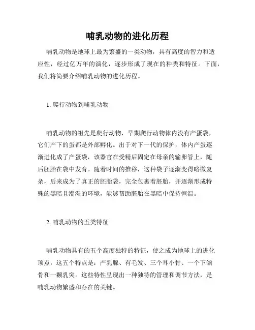 哺乳动物的进化历程