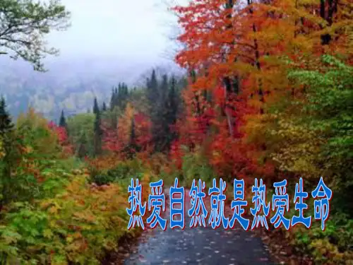 腰腿痛的鉴别诊断ppt课件