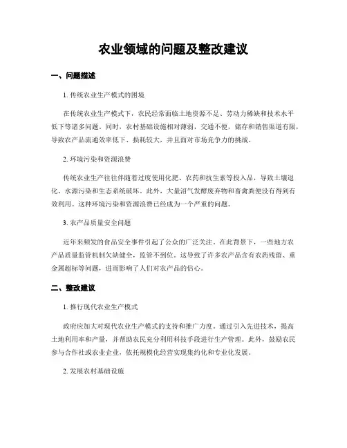 农业领域的问题及整改建议